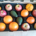 CSA Box filled with apples, tangelos, oranges, tangerines, and avocados.