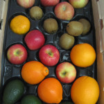 CSA Box filled with apples, kiwis, oranges, avocados, tangerines and tangelos.