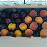 CSA Box with Peaches, Plums, and Nectarines 