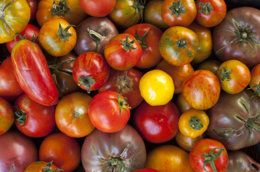 Tomatoes_large