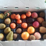 CSA box filled with clementines, oranges, kiwis, apples, and pears.