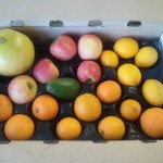 CSA Box filled with oranges, apples, lemons, an avocado, and a pomelo.