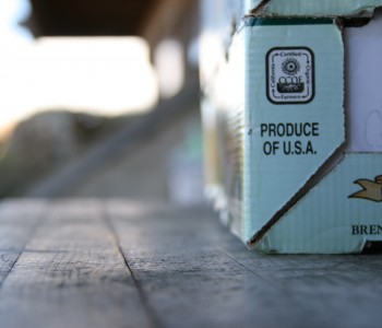 Photo - CCOF box closeup by Kimi Closeup of the CCOF logo on one of our boxes outside the packing shed.