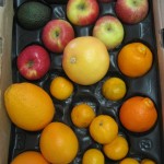 CSA Box filled with apples, oranges, tangerines, tangelos, and avocados.