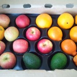 CSA box with apples, oranges, tangelos, avocados.