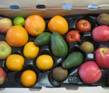 CSA Box - Week of Apr 11 2011 CSA Box filled with oranges, apples, avocados, kiwis, tomatoes and a lime.