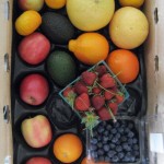 CSA Box with blueberries, strawberries, grapefruit, tangelos, tangerines, avocados and apples