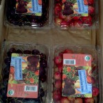 CSA Box with clamshells full of Bing and Rainier cherries.
