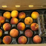 CSA Box with a clamshell of Bing cherries and Gold Dust peaches.