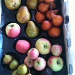 Pink Lady Apples, Bosc Pears, Seckle Pears, Warren Pears