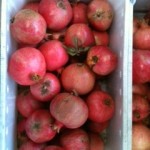 A lug full of freshly harvested Pomegranates