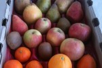 Pink Lady Apples, Clementine Oranges, Blood Orange, Kiwi, Warren Pears