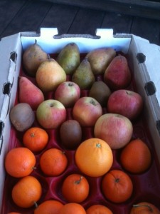 Pink Lady Apples, Clementine Oranges, Blood Orange, Kiwi, Warren Pears 