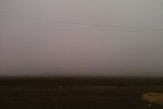 Fog Bank