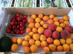photo of a csa box with mostly apricots, a handful of peaches, and a clamshell of cherries