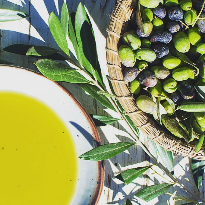 fresh olio nuovo and olives