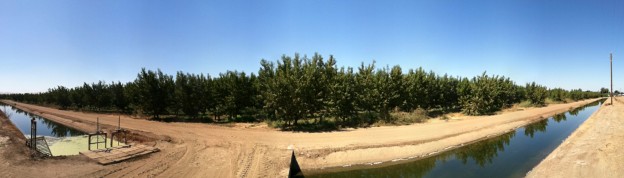 orchardpano