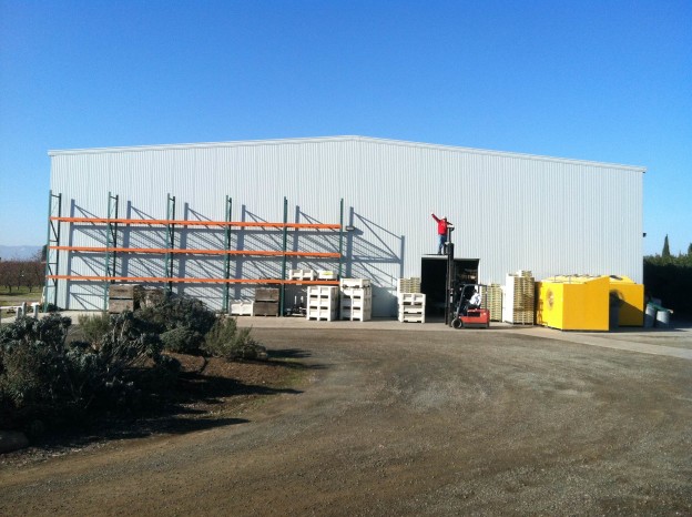 Francisco and Ediberto having some fun in front of new packing shed - soon to be covered in solar panels.