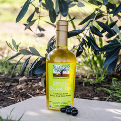 olive-oil_orchard-1_medium