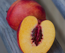 nectarines