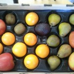 Photo of the CSA box filled with oranges, pears, apples, and an avocado.