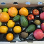 CSA Box filled with oranges, apples, avocados, kiwis, tomatoes and a lime.