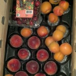 CSA Box filled with apricots, peaches, cherries, and a jar of peach conserve.