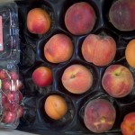 CSA Box filled with two cherry clamshells and an assortment of peaches and apricots.