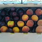 CSA Box with Peaches, Plums, and Nectarines