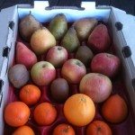 Pink Lady Apples, Clementine Oranges, Blood Orange, Kiwi, Warren Pears