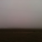 Fog Bank
