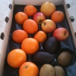 Box of Avocados, Oranges, Kiwi, Apples