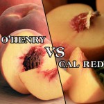 The O'Henry vs. The Cal Red!