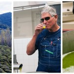 olive oil pressing