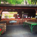 roadside stand