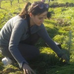 Kristin Planting our Hedgerow
